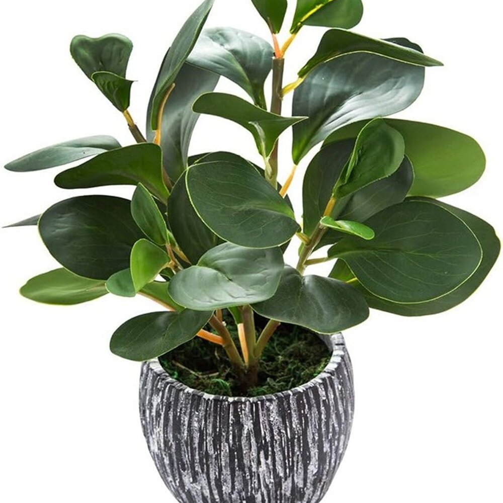 NEW Artificial Plants Real Looking and Touching Fake Plant Evergreen Plastic - Picture 2 of 10